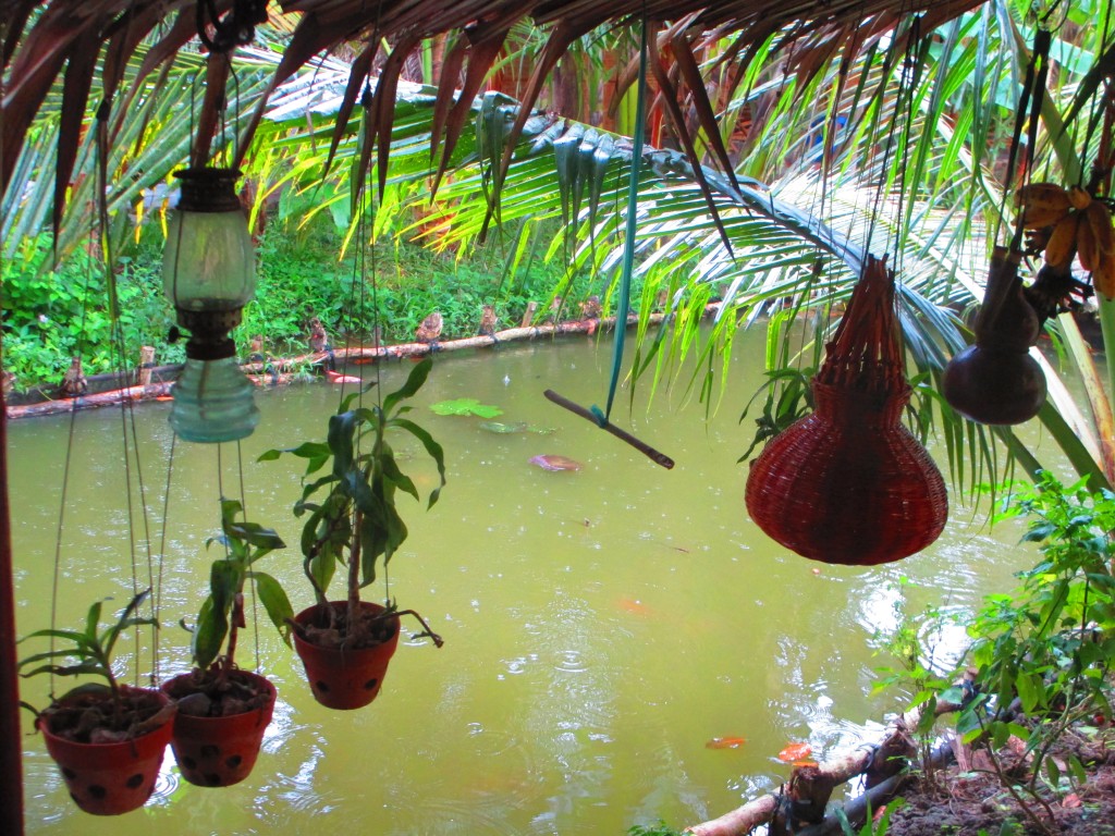 Pioggia, Mekong Delta, Vietnam