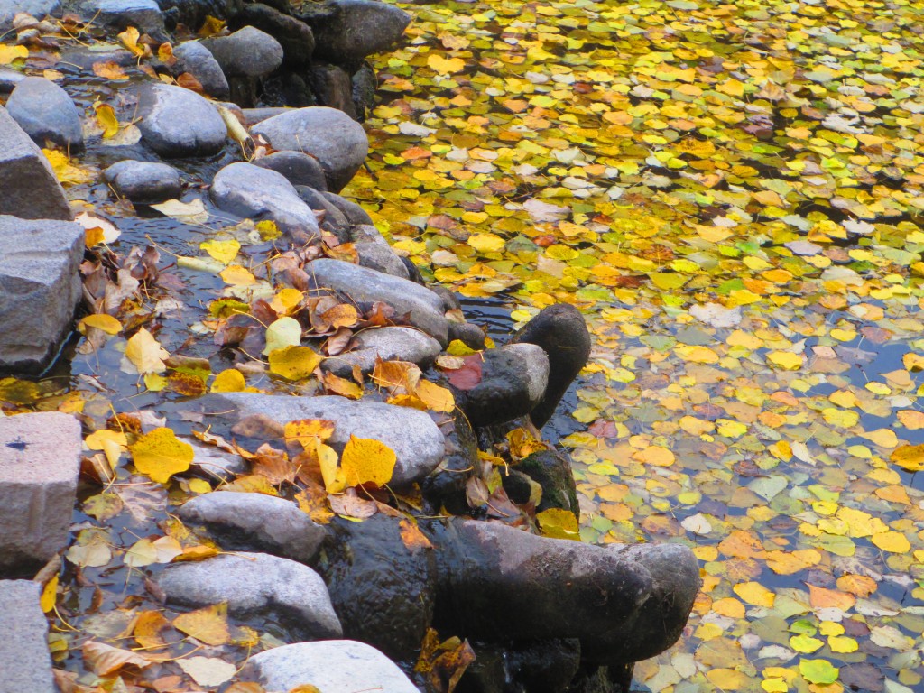 fiume con foglie gialle, Cina