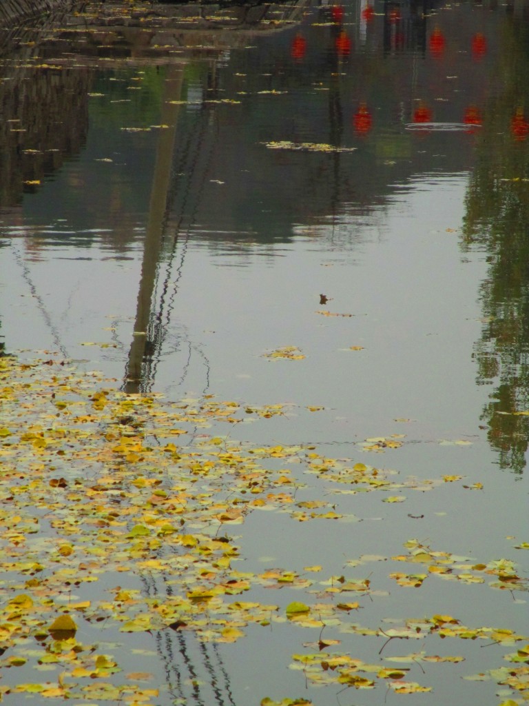 lanterne rosse e foglie gialle