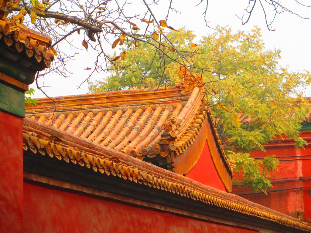 Città Proibita a Pechino, un tetto