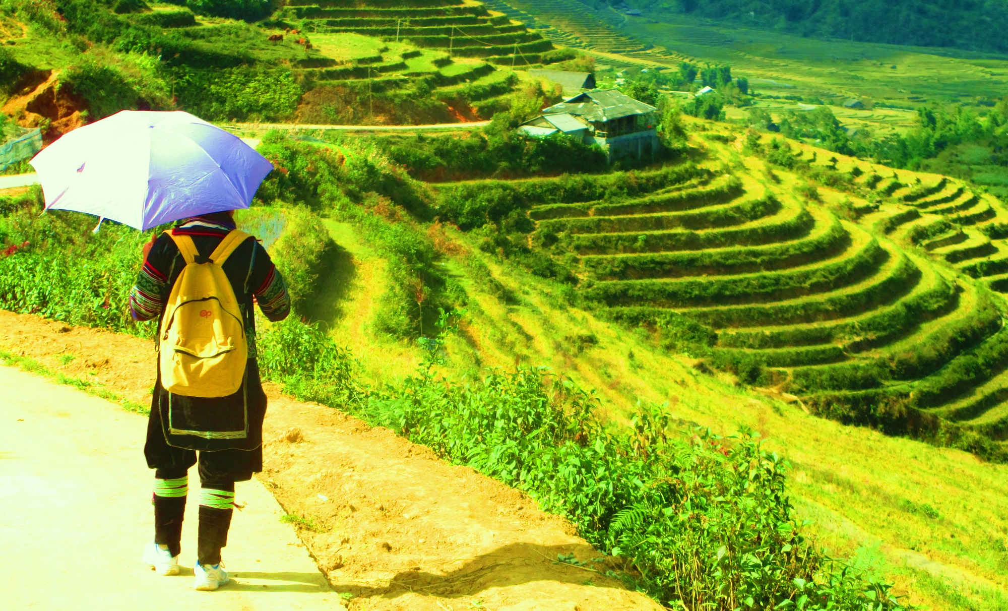 una guida Sapa O'chau davanti a risaie in Vietnam