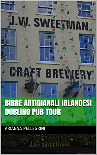 Birre Artigianali Irlandesi Dublino pub tour