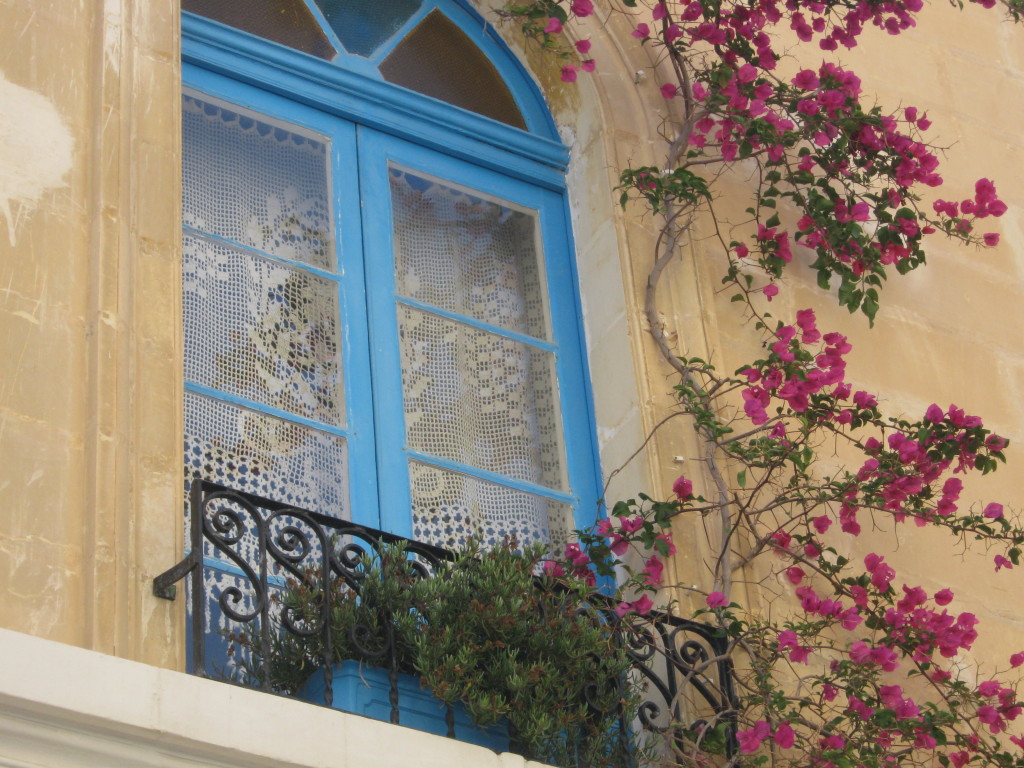 finestra fiorita a Malta