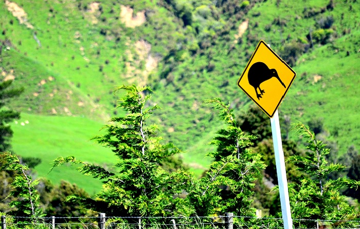 paesaggio nuova zelanda
